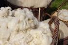 Ökologische Dämmstoffe: Schafwolle