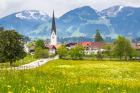 Blick auf Dorf in den Bergen vor Wiesenblume