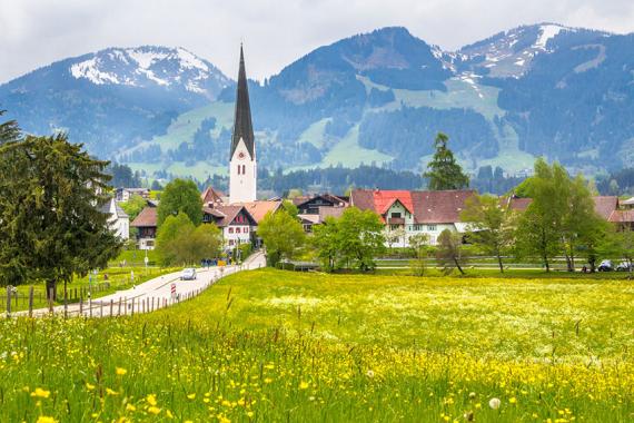 Blick auf Dorf in den Bergen vor Wiesenblume