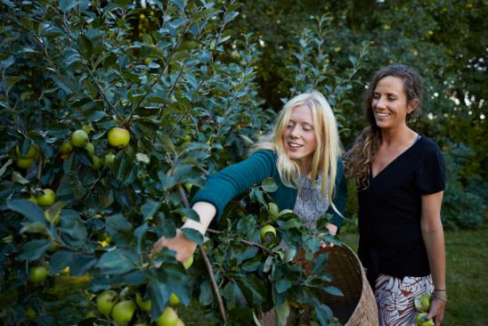 Vermögen mit 30: Zwei Frauen pflücken Äpfel