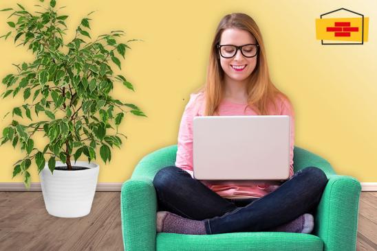 Junge Frau und Laptop Junge Frau und Laptop