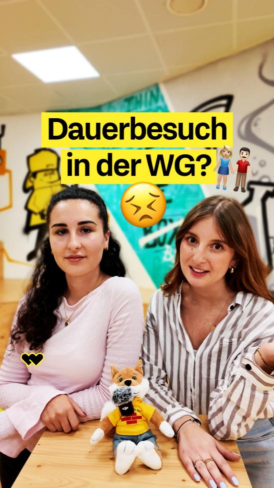 Thumbnail Dauergast WG