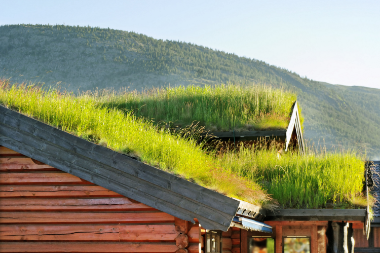 Extensive Dachbegrünung mit niedrig wachsendem Gras