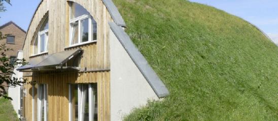 Erdhügelhaus: Mit Wiese auf dem Dach