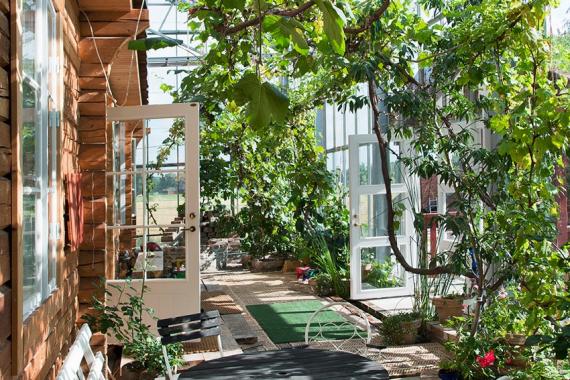 Innenraum Gewächshaus mit mediterrane Pflanzen