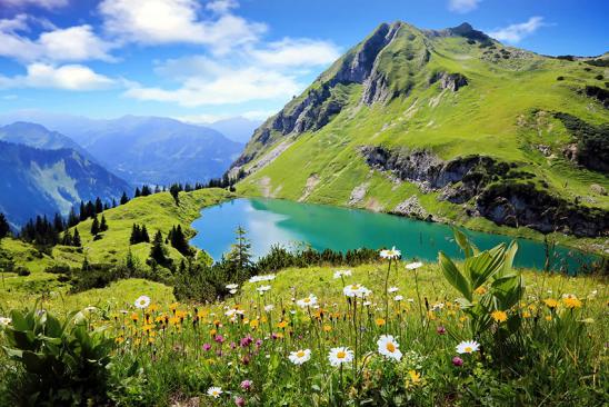 Blick auf Bergsee mit Wiesenblume im Vordergrund