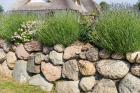 Garten-Ideen: Natursteinmauer im Vorgarten