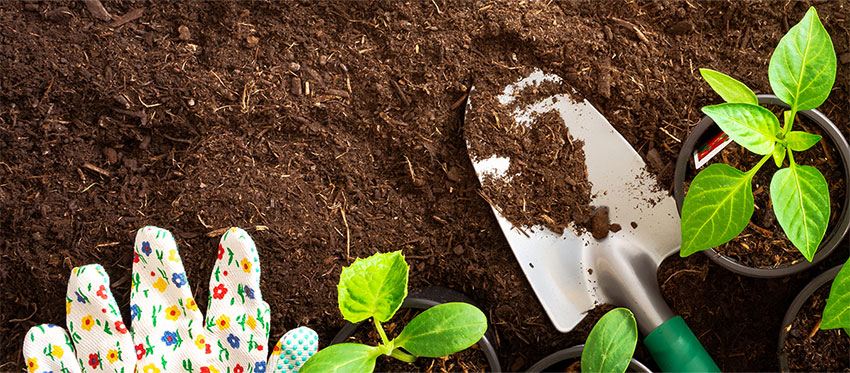 Garten Ideen