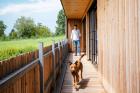 Perfekter Neubau: Hund und Herrchen auf dem Balkon