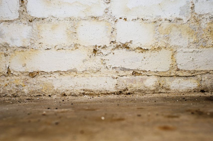 Feuchte Wand isolieren  Die besten Tipps für Innen- & Außenwand