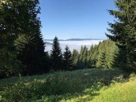 Hans-Peter Müller: Baufinanzierung & Bausparen in Rottenburg am Neckar