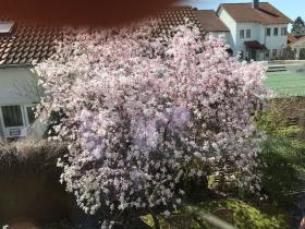 Rainer Weber: Baufinanzierung & Bausparen in Blaubeuren