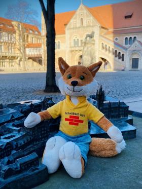 Simon Padel: Baufinanzierung & Bausparen in Braunschweig