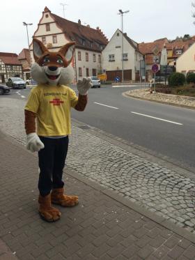 Stefan Konrad: Baufinanzierung & Bausparen in Frickenhausen