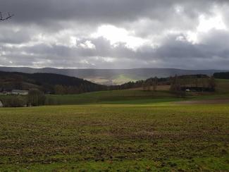 Henry Friemelt: Baufinanzierung & Bausparen in Altmittweida