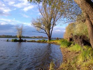 Marion Schniegler: Baufinanzierung & Bausparen in Arendsee (Altmark)