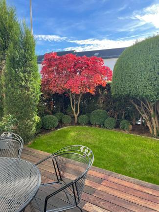 Sonja Stadelmaier: Baufinanzierung & Bausparen in Essingen